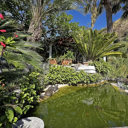 Hotel Parco Smeraldo Terme Barano dʼIschia