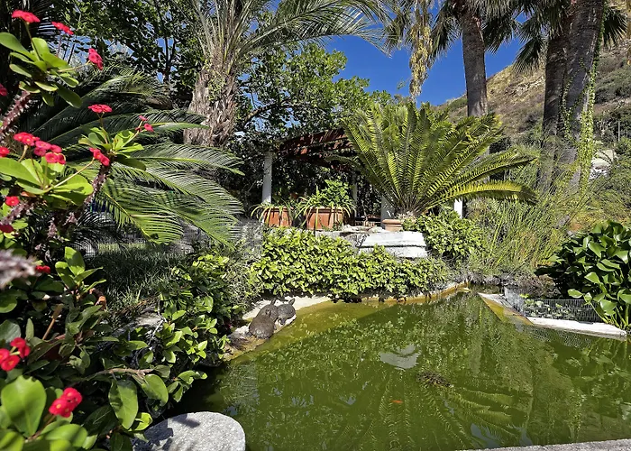 Hotel Parco Smeraldo Terme Barano dʼIschia